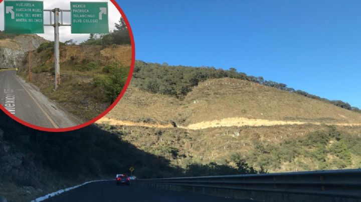 Carretera Real del Monte-Huasca: obligación de SICT reponer tala de 21.18 hectáreas de bosque