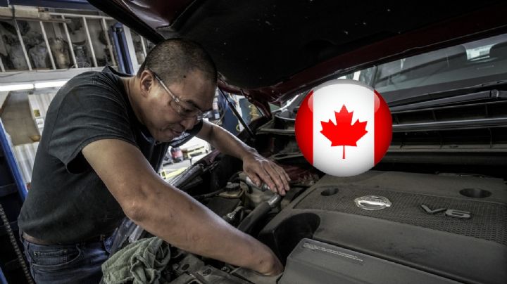 Portal de Empleo lanza 3 VACANTES para trabajar en Estados Unidos y Canadá