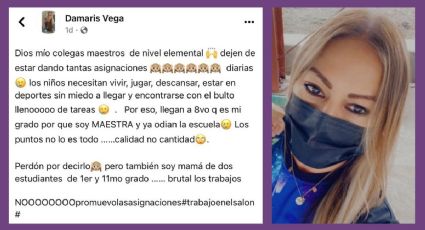 “Necesitan vivir”: profesora aconseja no dejar tanta tarea a los alumnos