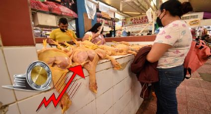 "Parece más un cementerio porque las ventas están muertas": Precio del pollo se dispara en Oaxaca