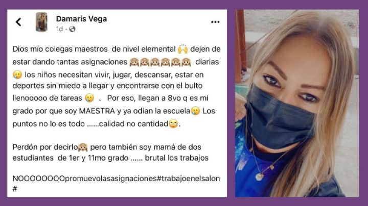 “Necesitan vivir”: profesora aconseja no dejar tanta tarea a los alumnos