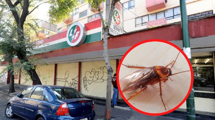 4T paga a la extinta Luz y Fuerza del Centro hasta para matar cucarachas