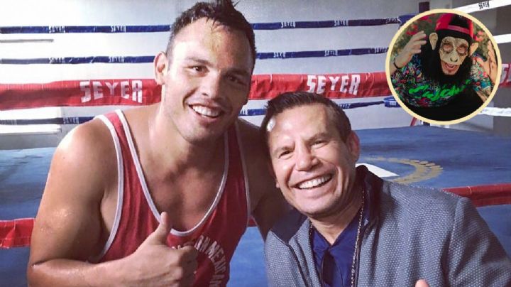 La vez que Julio César Chávez casi llega a los golpes con influencer por defender al Jr | VIDEO