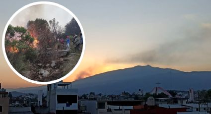 Incendios consumen bosque en Cofre de Perote; siguen activos