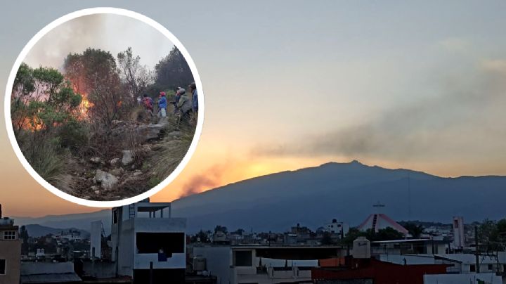 Incendios consumen bosque en Cofre de Perote; siguen activos