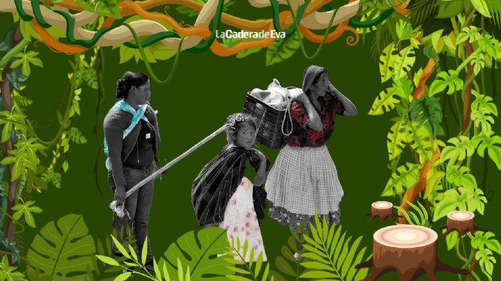 Mujeres chiapanecas a la defensa del territorio contra la industria aceitera