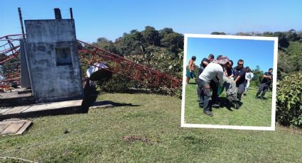 Colapsa torre de Telmex en Moloacán; hay un lesionado