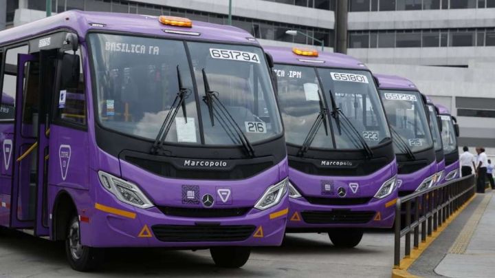 Nuevo transporte en Xochimilco y Culhuacanes: esta será la ruta