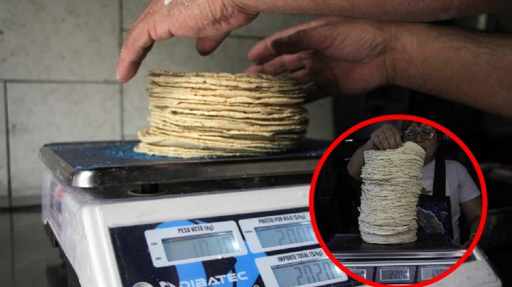 Inflación: Los estados con la tortilla más cara