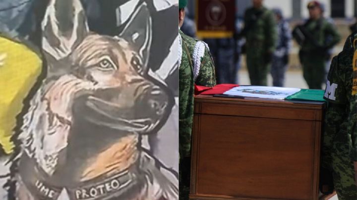 Futbol de Turquía brinda homenaje a Proteo en partido del Trabzonspor