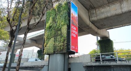 Seduvi asegura que no se ampliará el programa de jardines verticales y horizontales