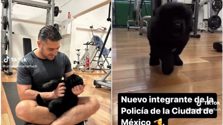 VIDEO TIKTOK: El nuevo integrante de la Policía de la CDMX, que es mano derecha de García Harfuch