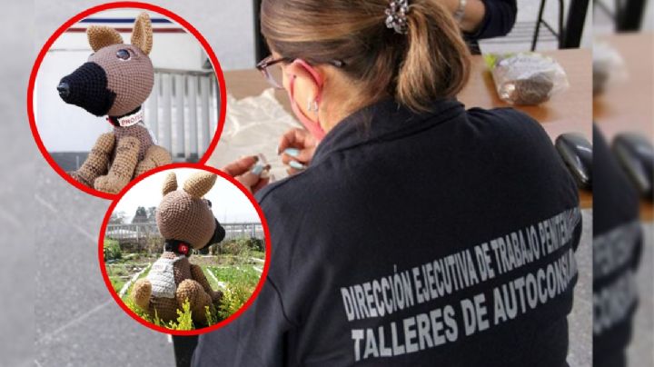 Proteo, el perro rescatista, vuelve en forma de peluche; lo confeccionan internas de Santa Martha
