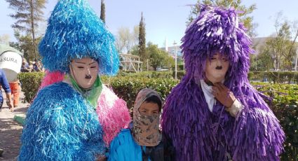 “Este carnaval no fue igual”, así vivieron la tradición desde las comparsas