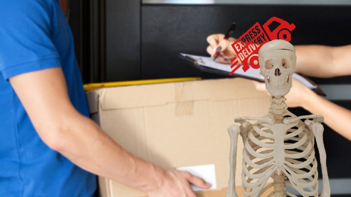 Desde Hidalgo hasta Ecatepec querían enviar huesos humanos; GN los intercepta