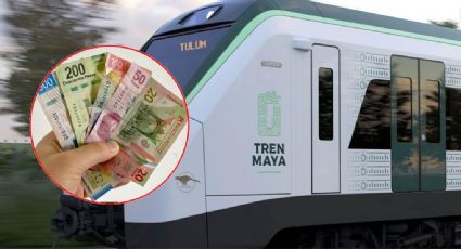 Irregularidades en Tren Maya suman más de 100,000 millones de pesos: ASF