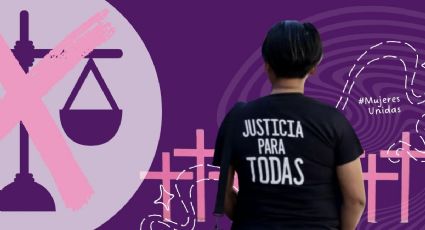 Crónica de una decisión anunciada: el Registro (no público) de Agresores Sexuales