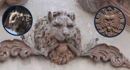 Los leones escondidos en todos lados al mismo tiempo en León