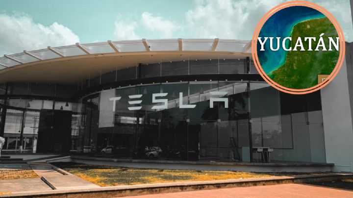 Yucatán: ¿La tercera en discordia entre Hidalgo y Nuevo León para planta de Tesla?