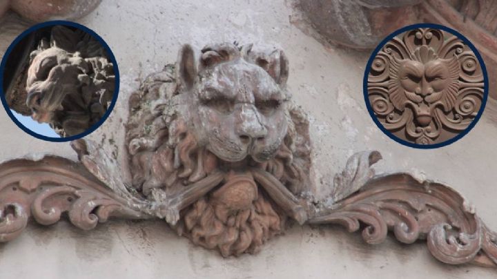 Los leones escondidos en todos lados al mismo tiempo en León