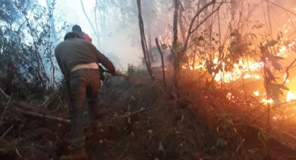 Surada e incendio; alerta por rápido avance del fuego en Tequila