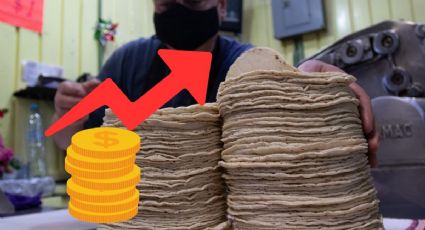 Sube el precio de la tortilla en Veracruz ¿Cuánto y a partir de cuándo?