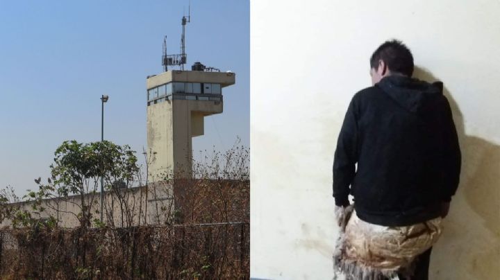 Con disfraz de oveja, preso intentó escapar de penal