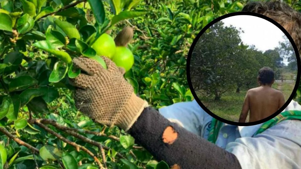 Tres sujetos fueron amarrados por robar limones