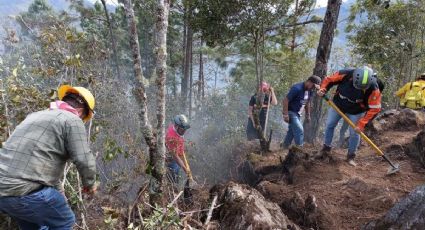 Apagan incendio forestal en Tequila ¿Cuántas hectáreas hay afectadas?