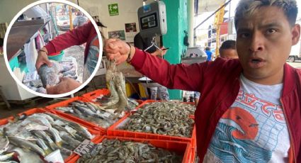 Vendedor de La Rotonda da tips para comprar pescado fresco en Cuaresma