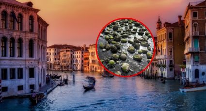 Crisis en Venecia: ¿Se secan los canales?