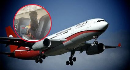 Premian a perrito rescatista con vuelo en primera clase tras salvar vidas en Turquía