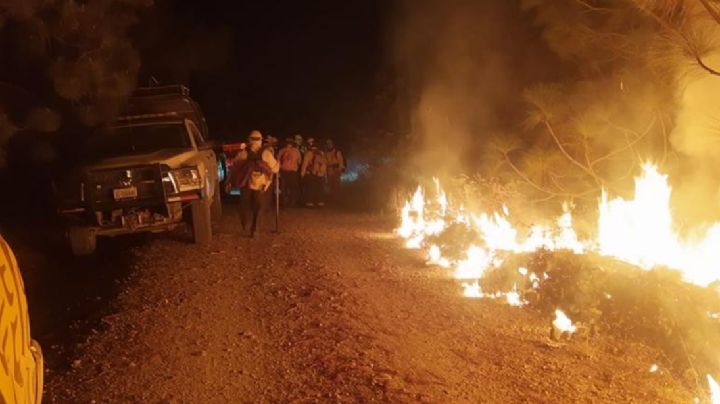 Incendio en Bosque de la Primavera detona contingencia ambiental en Guadalajara