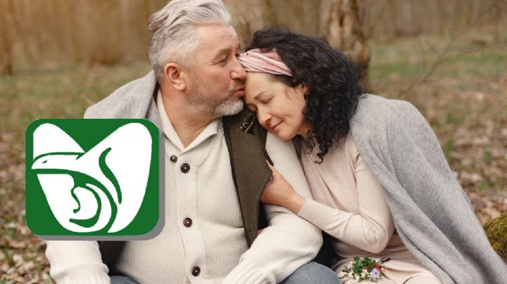 Cambios en la pensión IMSS: Alerta si buscas heredarla