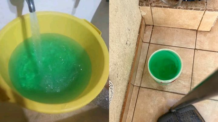 ¿Por qué Arteaga tiene agua potable verde? Esto es lo que sabemos