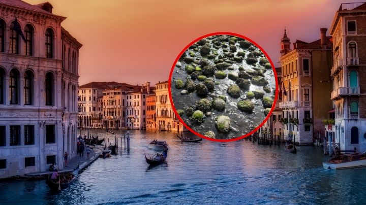 Crisis en Venecia: ¿Se secan los canales?
