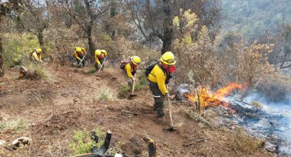 Siguen los incendios forestales, reportan uno en Nogales