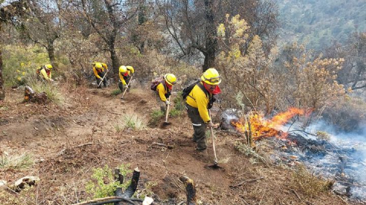 Siguen los incendios forestales, reportan uno en Nogales
