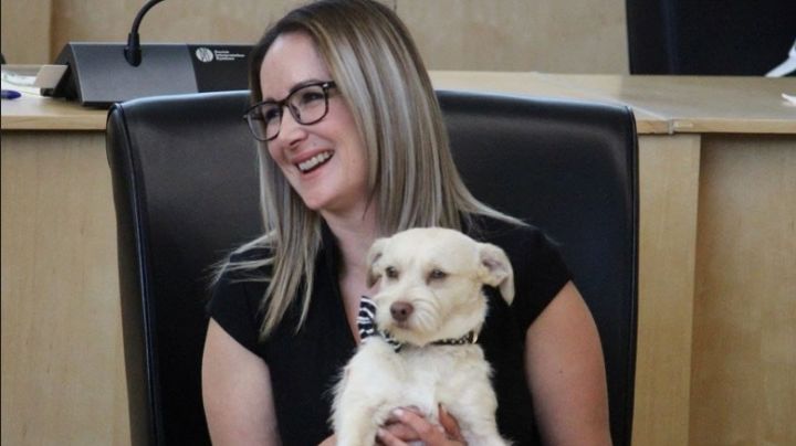 Legisladora lleva a sesión del Congreso a su “diputadog”