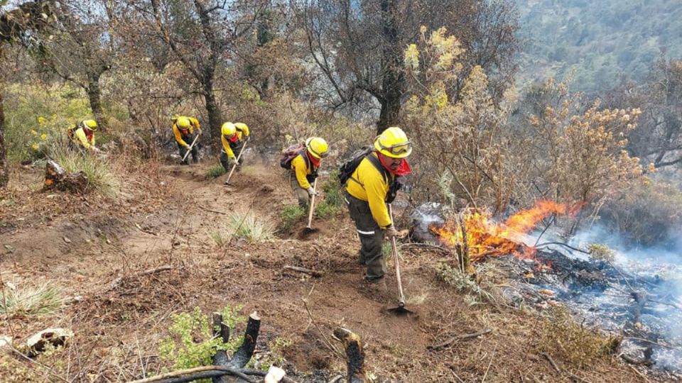 Incendio foestal en Nogales