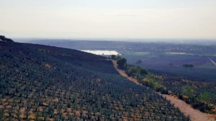 El clima para este 25 de febrero: predomina el calor en Guanajuato