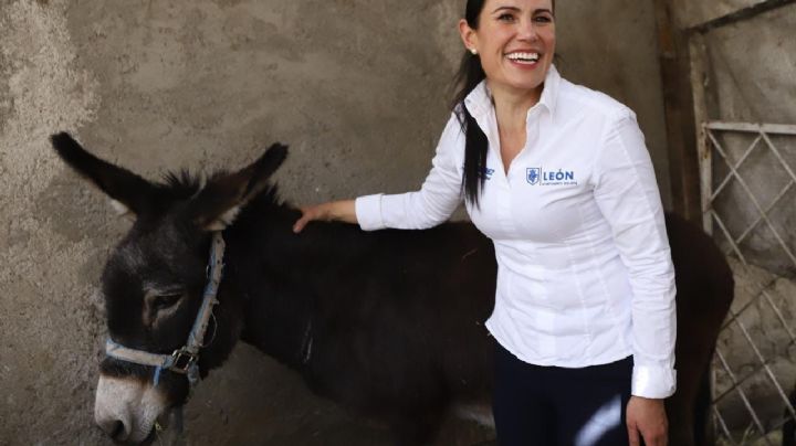 "Canjean" burros y caballos por motos para comerciantes