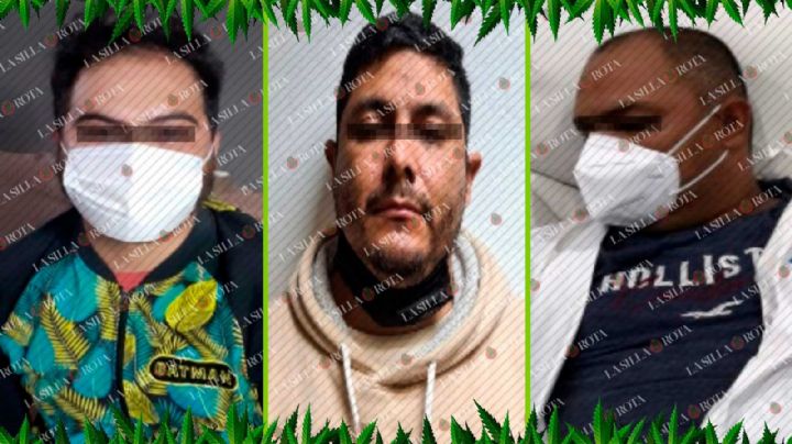 Las toneladas de mariguana que llegaron a CDMX, escondidas entre mangos