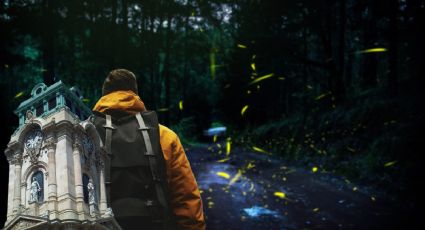 Vista gratis un bosque lleno de luces naturales (luciérnagas) a solo una hora de Pachuca