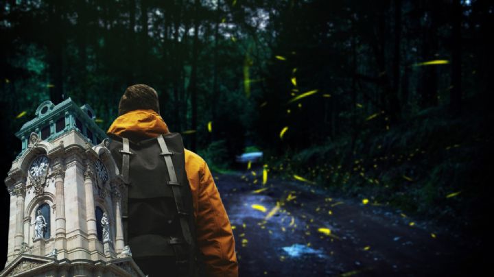 Vista gratis un bosque lleno de luces naturales (luciérnagas) a solo una hora de Pachuca