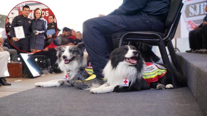 Orly y Balam, los súper héroes de 4 patas reciben medallas por su labor en Turquía