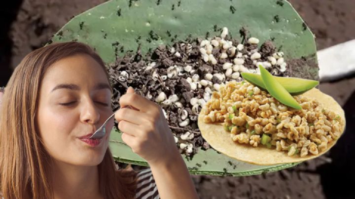 ¿Cuándo y dónde es el Festival del Escamol en Hidalgo?