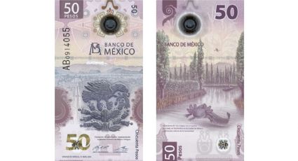 El billete del ajolote se vende hasta en 650 mil pesos por este error