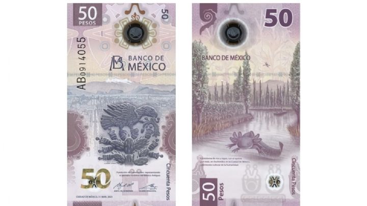 El billete del ajolote se vende hasta en 650 mil pesos por este error