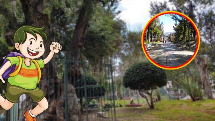 ¿Conoces la leyenda de Fracisquito, el niño del árbol en el Parque Hidalgo?